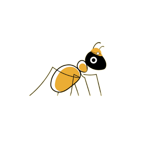 ant